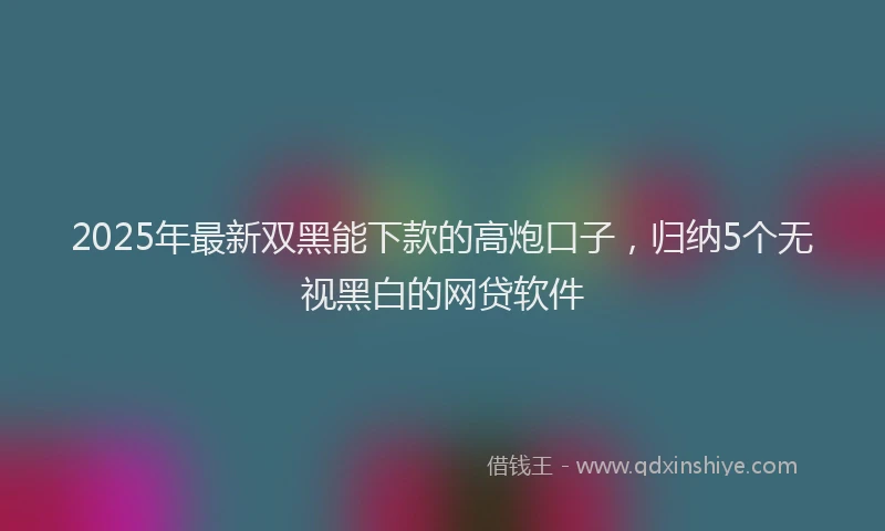 2025年最新双黑能下款的高炮口子，归纳5个无视黑白的网贷软件