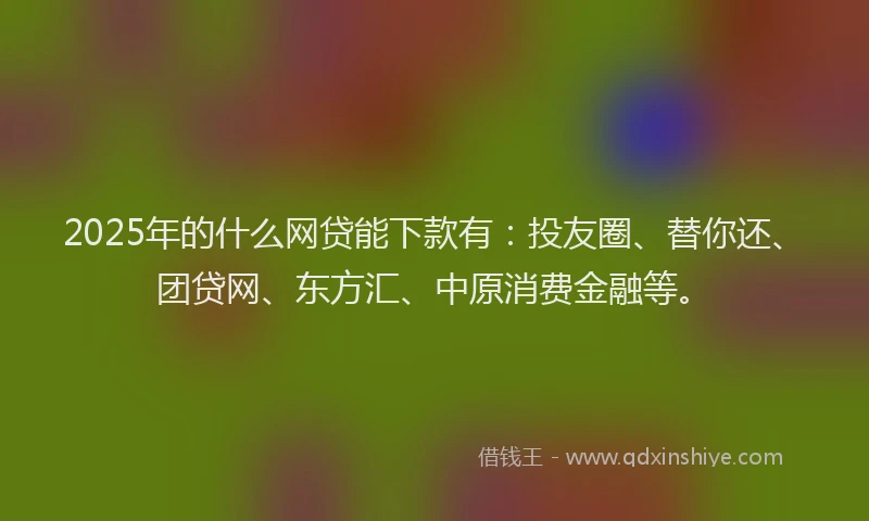 2025年的什么网贷能下款有：投友圈、替你还、团贷网、东方汇、中原消费金融等。
