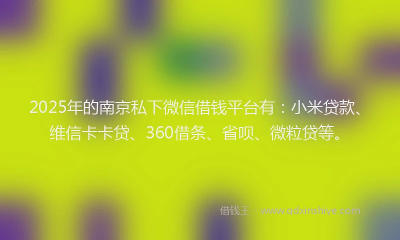 2025年的南京私下微信借钱平台有：小米贷款、维信卡卡贷、360借条、省呗、微粒贷等。