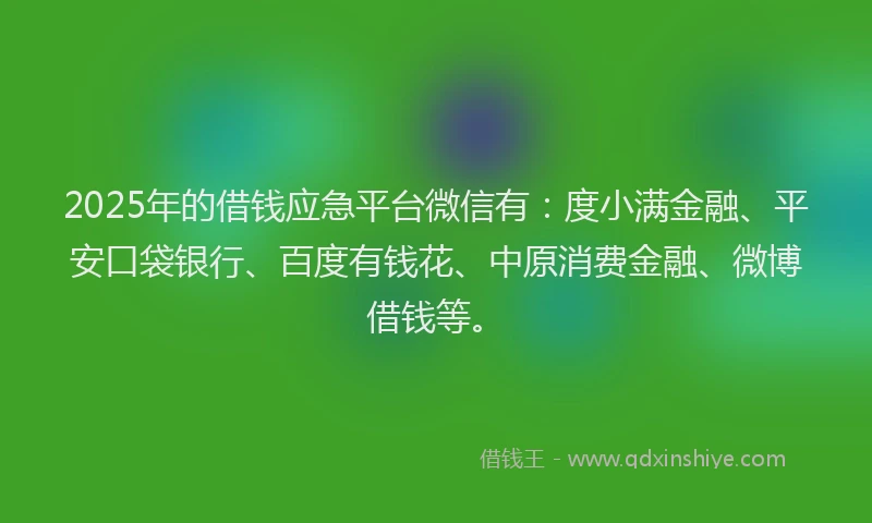 2025年的借钱应急平台微信有：度小满金融、平安口袋银行、百度有钱花、中原消费金融、微博借钱等。
