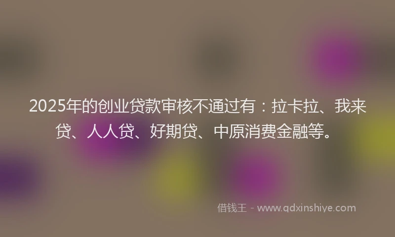 2025年的创业贷款审核不通过有：拉卡拉、我来贷、人人贷、好期贷、中原消费金融等。