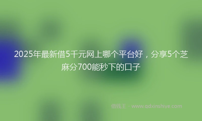 2025年最新借5千元网上哪个平台好，分享5个芝麻分700能秒下的口子