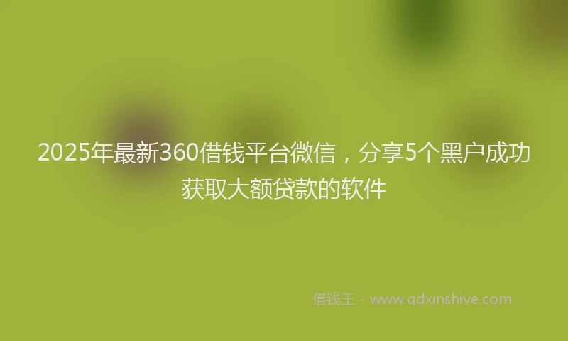 2025年最新360借钱平台微信，分享5个黑户成功获取大额贷款的软件
