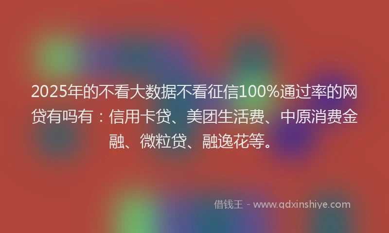 2025年的不看大数据不看征信100%通过率的网贷有吗有：信用卡贷、美团生活费、中原消费金融、微粒贷、融逸花等。