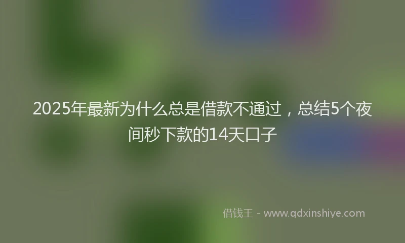 2025年最新为什么总是借款不通过，总结5个夜间秒下款的14天口子