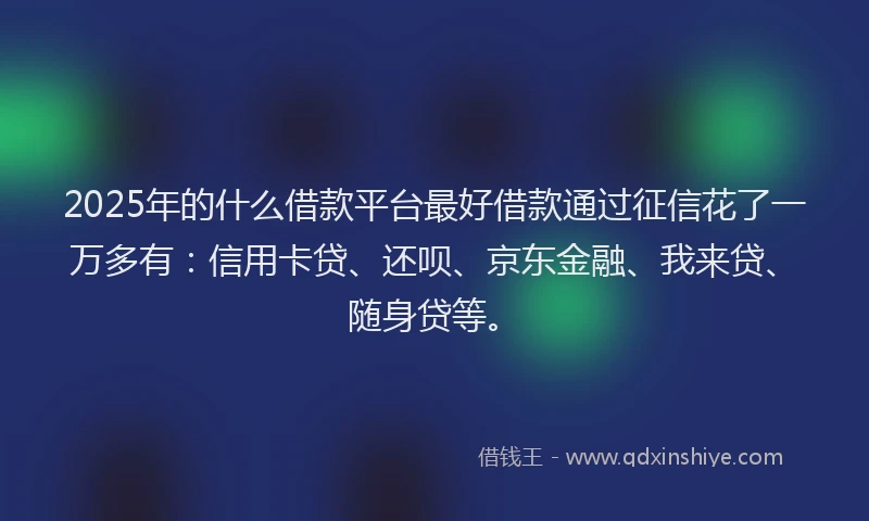 2025年的什么借款平台最好借款通过征信花了一万多有：信用卡贷、还呗、京东金融、我来贷、随身贷等。