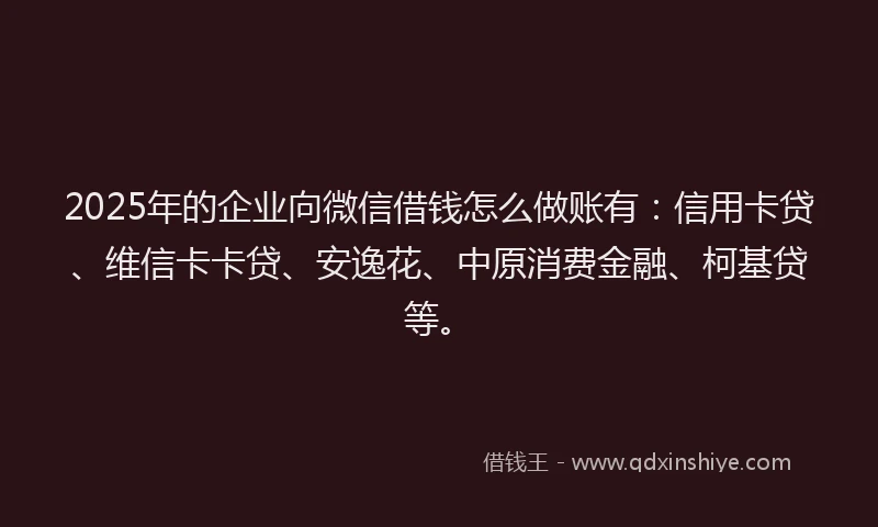 2025年的企业向微信借钱怎么做账有：信用卡贷、维信卡卡贷、安逸花、中原消费金融、柯基贷等。