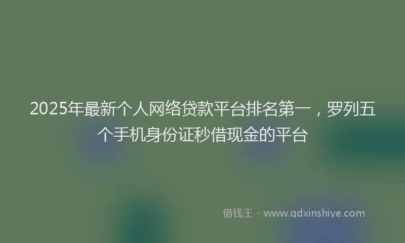 2025年最新个人网络贷款平台排名第一，罗列五个手机身份证秒借现金的平台