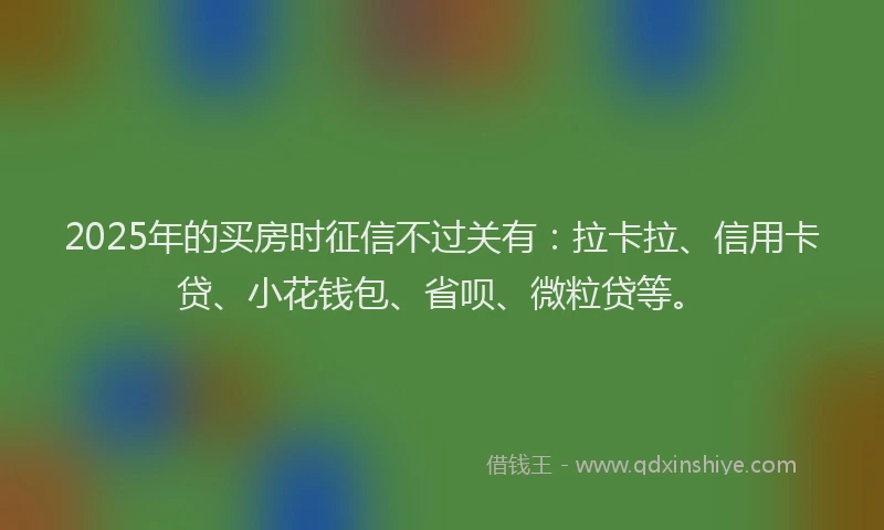 2025年的买房时征信不过关有：拉卡拉、信用卡贷、小花钱包、省呗、微粒贷等。