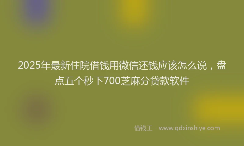 2025年最新住院借钱用微信还钱应该怎么说，盘点五个秒下700芝麻分贷款软件