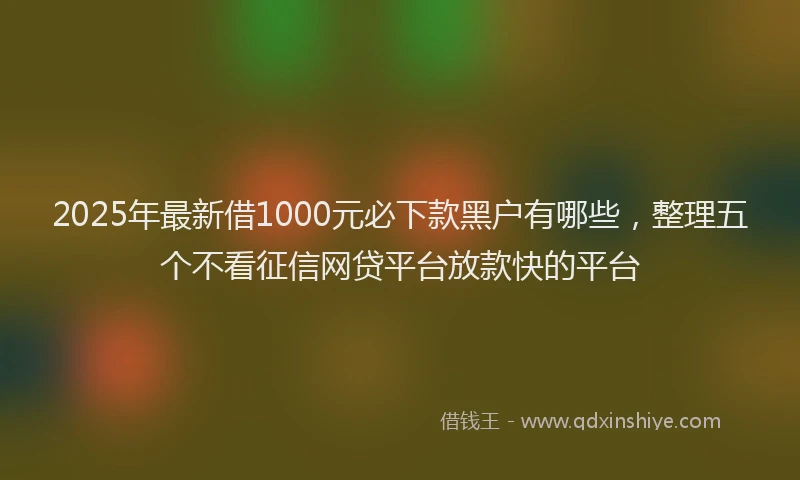 2025年最新借1000元必下款黑户有哪些，整理五个不看征信网贷平台放款快的平台
