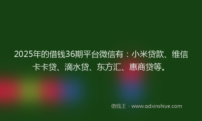 2025年的借钱36期平台微信有：小米贷款、维信卡卡贷、滴水贷、东方汇、惠商贷等。