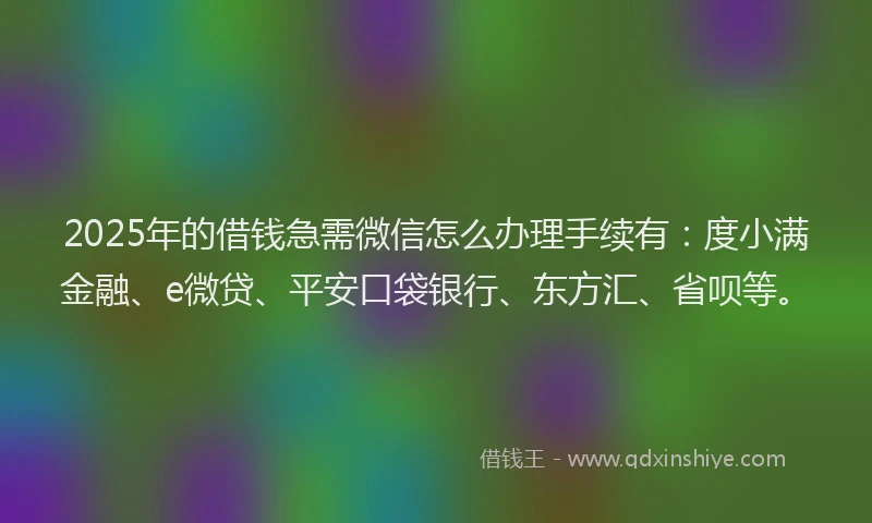 2025年的借钱急需微信怎么办理手续有：度小满金融、e微贷、平安口袋银行、东方汇、省呗等。