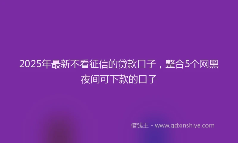2025年最新不看征信的贷款口子，整合5个网黑夜间可下款的口子