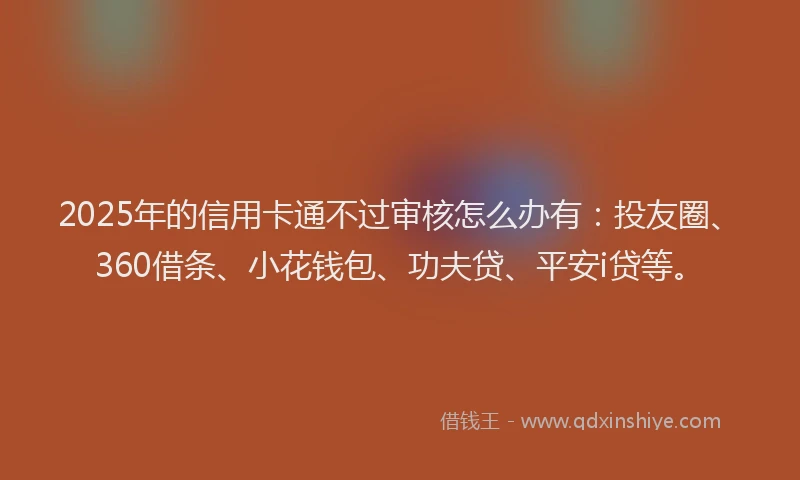 2025年的信用卡通不过审核怎么办有：投友圈、360借条、小花钱包、功夫贷、平安i贷等。