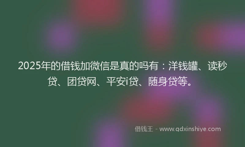 2025年的借钱加微信是真的吗有：洋钱罐、读秒贷、团贷网、平安i贷、随身贷等。