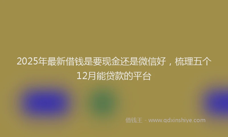 2025年最新借钱是要现金还是微信好，梳理五个12月能贷款的平台