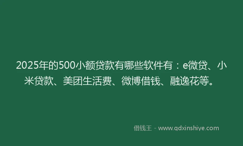 2025年的500小额贷款有哪些软件有：e微贷、小米贷款、美团生活费、微博借钱、融逸花等。