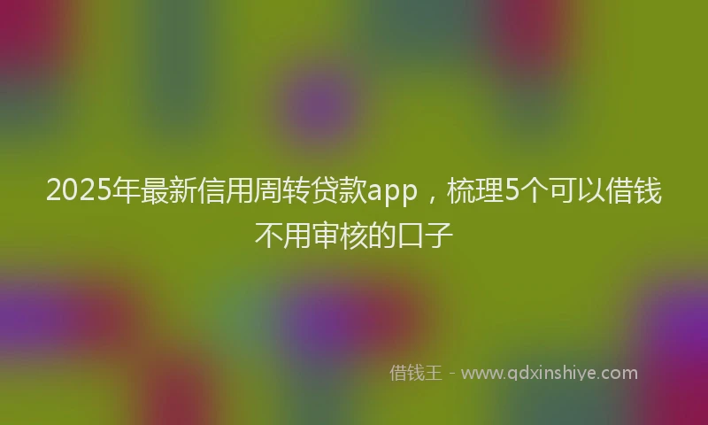 2025年最新信用周转贷款app，梳理5个可以借钱不用审核的口子