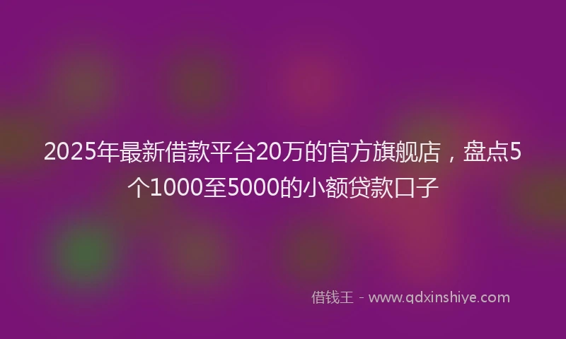 2025年最新借款平台20万的官方旗舰店，盘点5个1000至5000的小额贷款口子