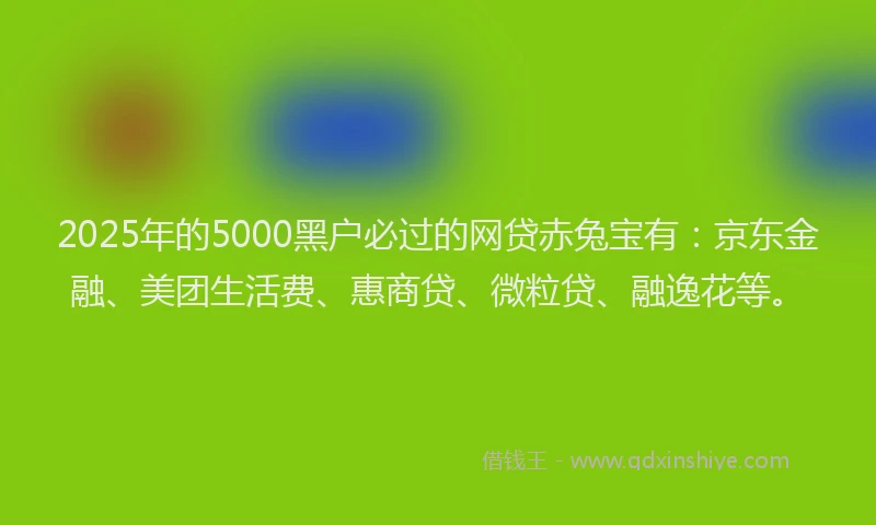 2025年的5000黑户必过的网贷赤兔宝有：京东金融、美团生活费、惠商贷、微粒贷、融逸花等。