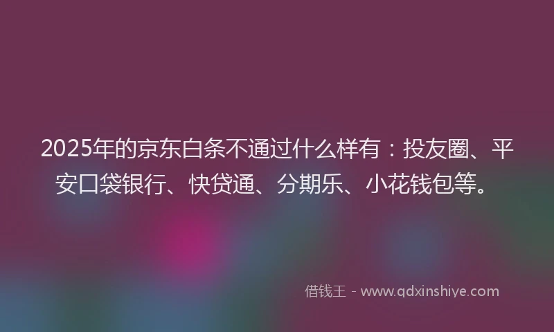 2025年的京东白条不通过什么样有：投友圈、平安口袋银行、快贷通、分期乐、小花钱包等。