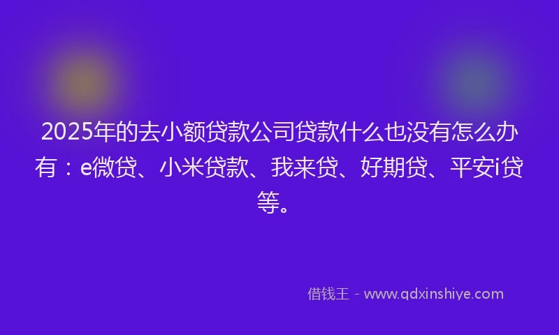 2025年的去小额贷款公司贷款什么也没有怎么办有：e微贷、小米贷款、我来贷、好期贷、平安i贷等。