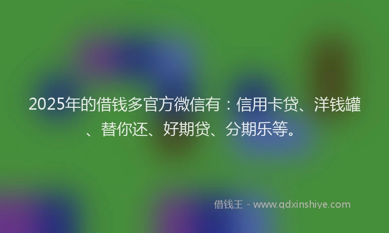 2025年的借钱多官方微信有：信用卡贷、洋钱罐、替你还、好期贷、分期乐等。