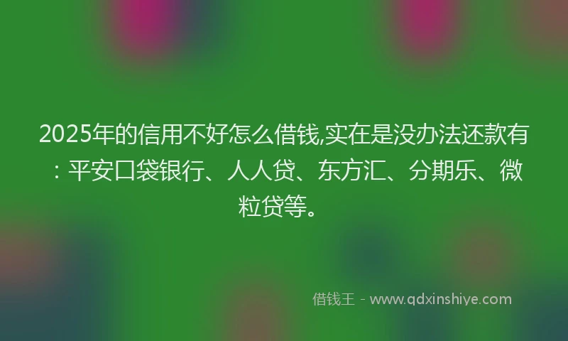 2025年的信用不好怎么借钱,实在是没办法还款有：平安口袋银行、人人贷、东方汇、分期乐、微粒贷等。