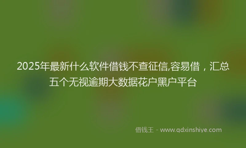 2025年最新什么软件借钱不查征信,容易借，汇总五个无视逾期大数据花户黑户平台