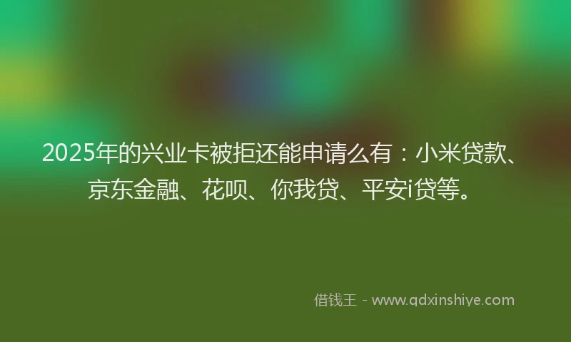 2025年的兴业卡被拒还能申请么有：小米贷款、京东金融、花呗、你我贷、平安i贷等。