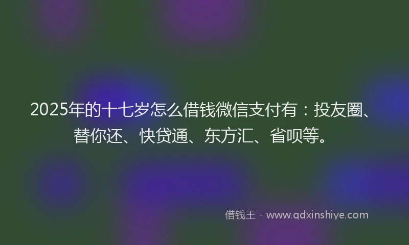 2025年的十七岁怎么借钱微信支付有：投友圈、替你还、快贷通、东方汇、省呗等。