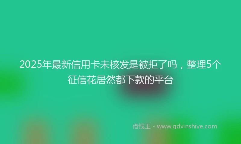 2025年最新信用卡未核发是被拒了吗，整理5个征信花居然都下款的平台