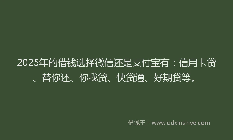 2025年的借钱选择微信还是支付宝有：信用卡贷、替你还、你我贷、快贷通、好期贷等。
