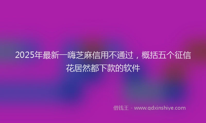 2025年最新一嗨芝麻信用不通过，概括五个征信花居然都下款的软件