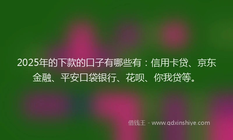 2025年的下款的口子有哪些有：信用卡贷、京东金融、平安口袋银行、花呗、你我贷等。