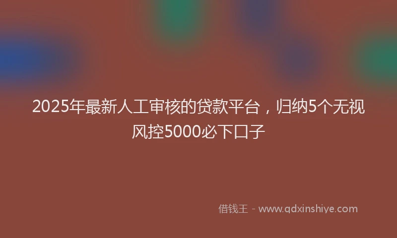 2025年最新人工审核的贷款平台，归纳5个无视风控5000必下口子