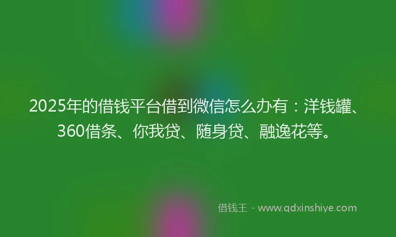 2025年的借钱平台借到微信怎么办有：洋钱罐、360借条、你我贷、随身贷、融逸花等。