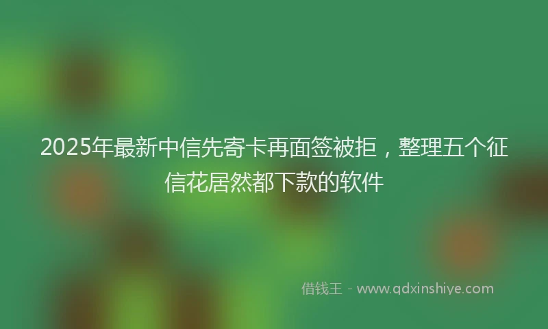 2025年最新中信先寄卡再面签被拒，整理五个征信花居然都下款的软件