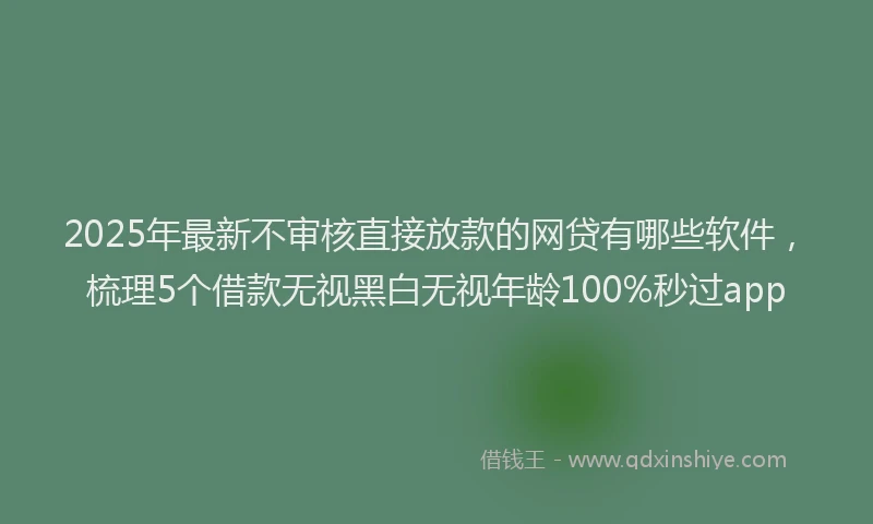 2025年最新不审核直接放款的网贷有哪些软件，梳理5个借款无视黑白无视年龄100%秒过app