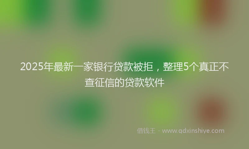 2025年最新一家银行贷款被拒，整理5个真正不查征信的贷款软件