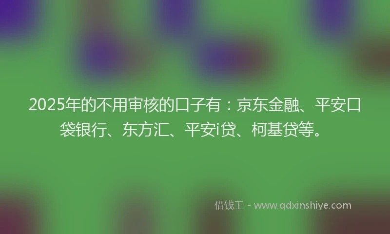 2025年的不用审核的口子有：京东金融、平安口袋银行、东方汇、平安i贷、柯基贷等。