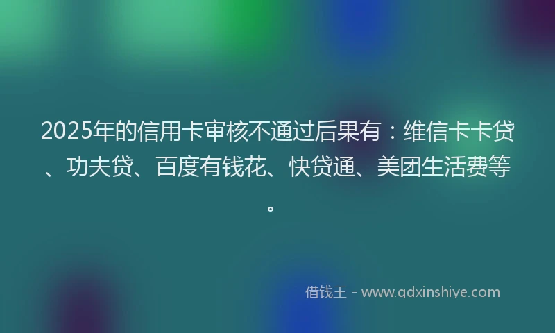2025年的信用卡审核不通过后果有：维信卡卡贷、功夫贷、百度有钱花、快贷通、美团生活费等。
