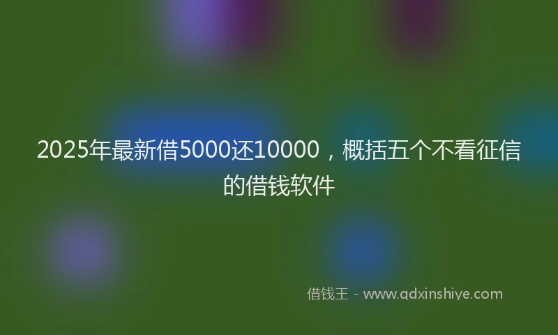 2025年最新借5000还10000，概括五个不看征信的借钱软件