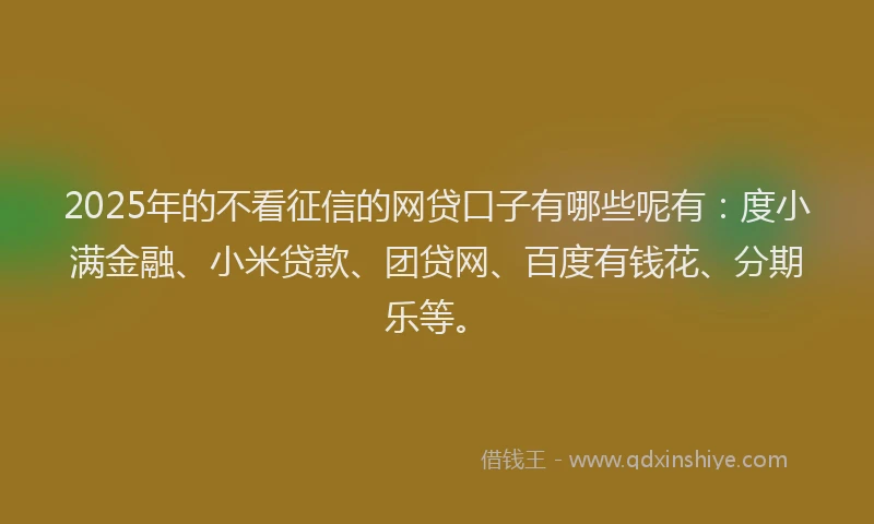 2025年的不看征信的网贷口子有哪些呢有：度小满金融、小米贷款、团贷网、百度有钱花、分期乐等。