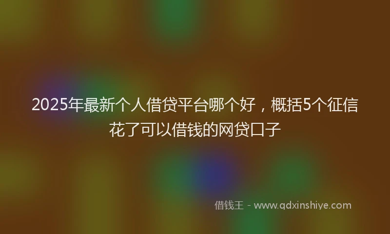 2025年最新个人借贷平台哪个好，概括5个征信花了可以借钱的网贷口子