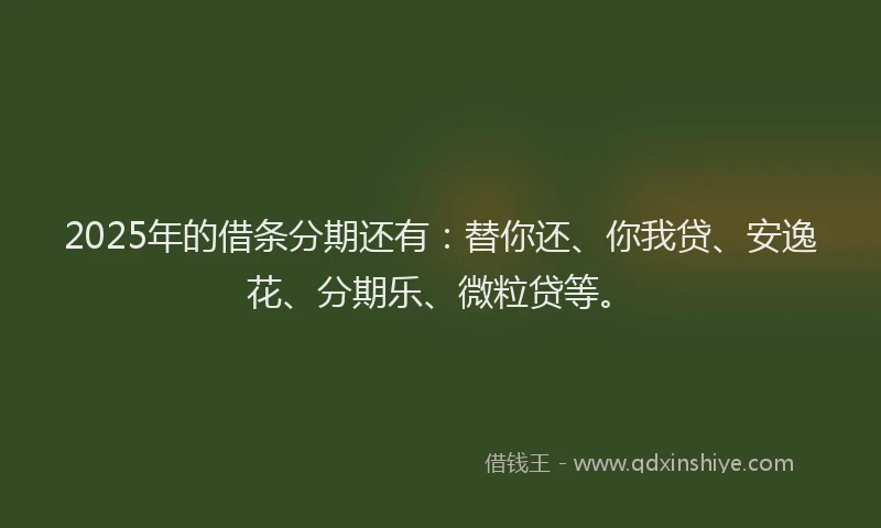 2025年的借条分期还有：替你还、你我贷、安逸花、分期乐、微粒贷等。