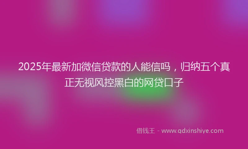 2025年最新加微信贷款的人能信吗，归纳五个真正无视风控黑白的网贷口子
