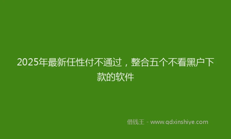 2025年最新任性付不通过，整合五个不看黑户下款的软件