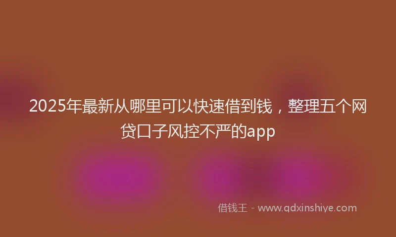 2025年最新从哪里可以快速借到钱，整理五个网贷口子风控不严的app